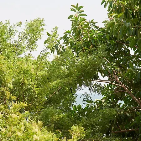 Lejlighed Sunny Oasis, By Timecooler *