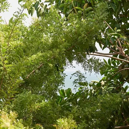 Lejlighed Sunny Oasis, By Timecooler Oeiras